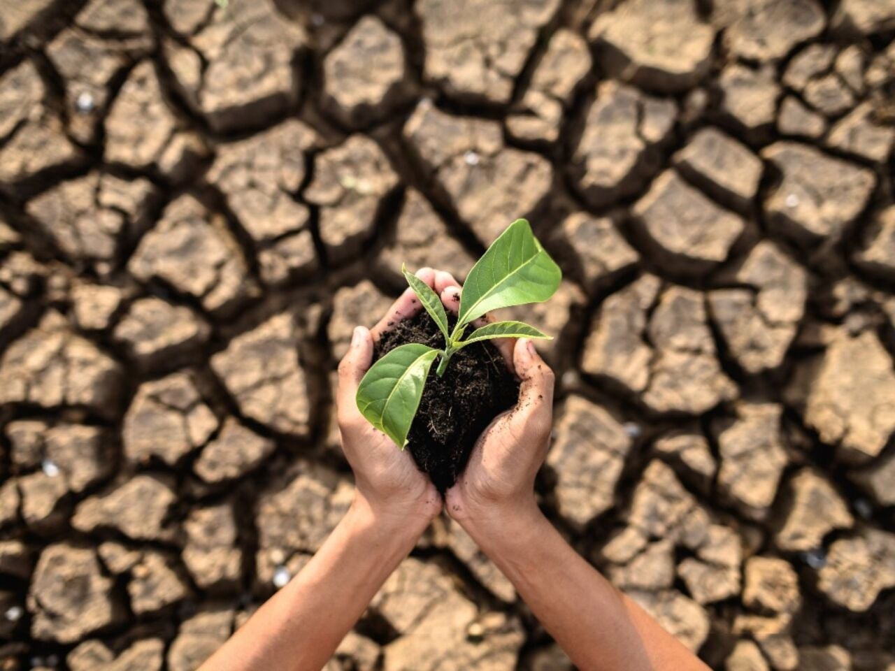 İklim Değişikliği Nedir ? 