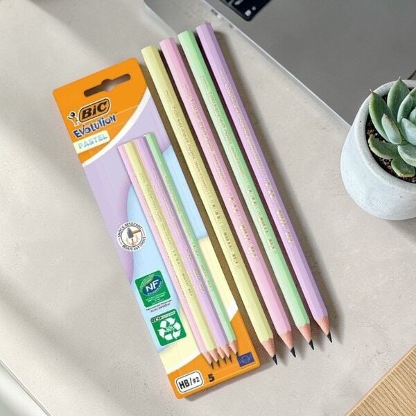 Bic Evolution HB 5'li Kurşun Kalem - Pastel Renklerde (518980)