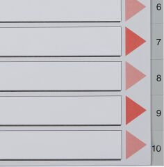 Esselte Seperatör A4 1-10 Rakam Gri (100105)