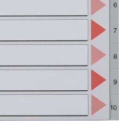 Esselte Seperatör A4 1-10 Rakam Gri (100105)
