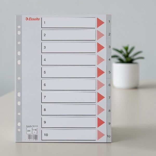 Esselte Seperatör A4 1-10 Rakam Gri (100105)