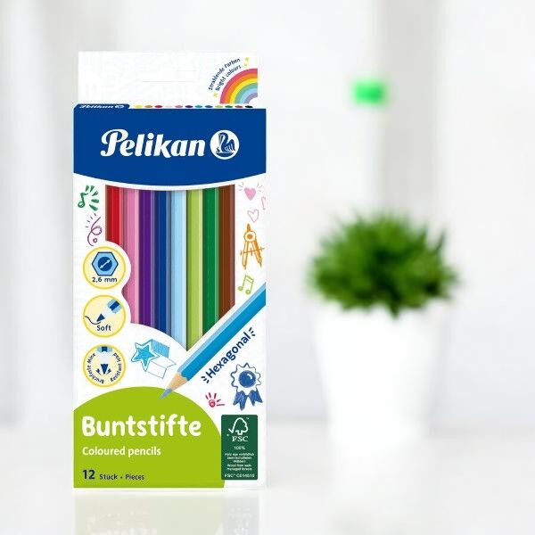 Pelikan 12'li Kuru Boya Kalemi