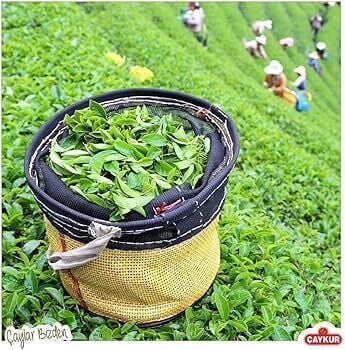 Çaykur Filiz Lüks Çay 500 Gr