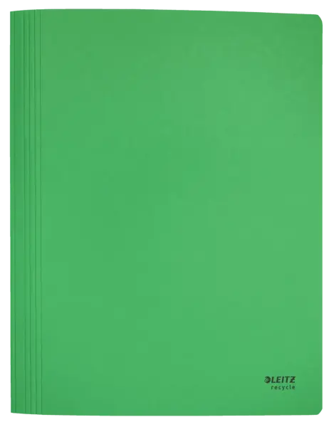 Leitz Recycle Doküman Dosya A4 Yeşil (39040055)