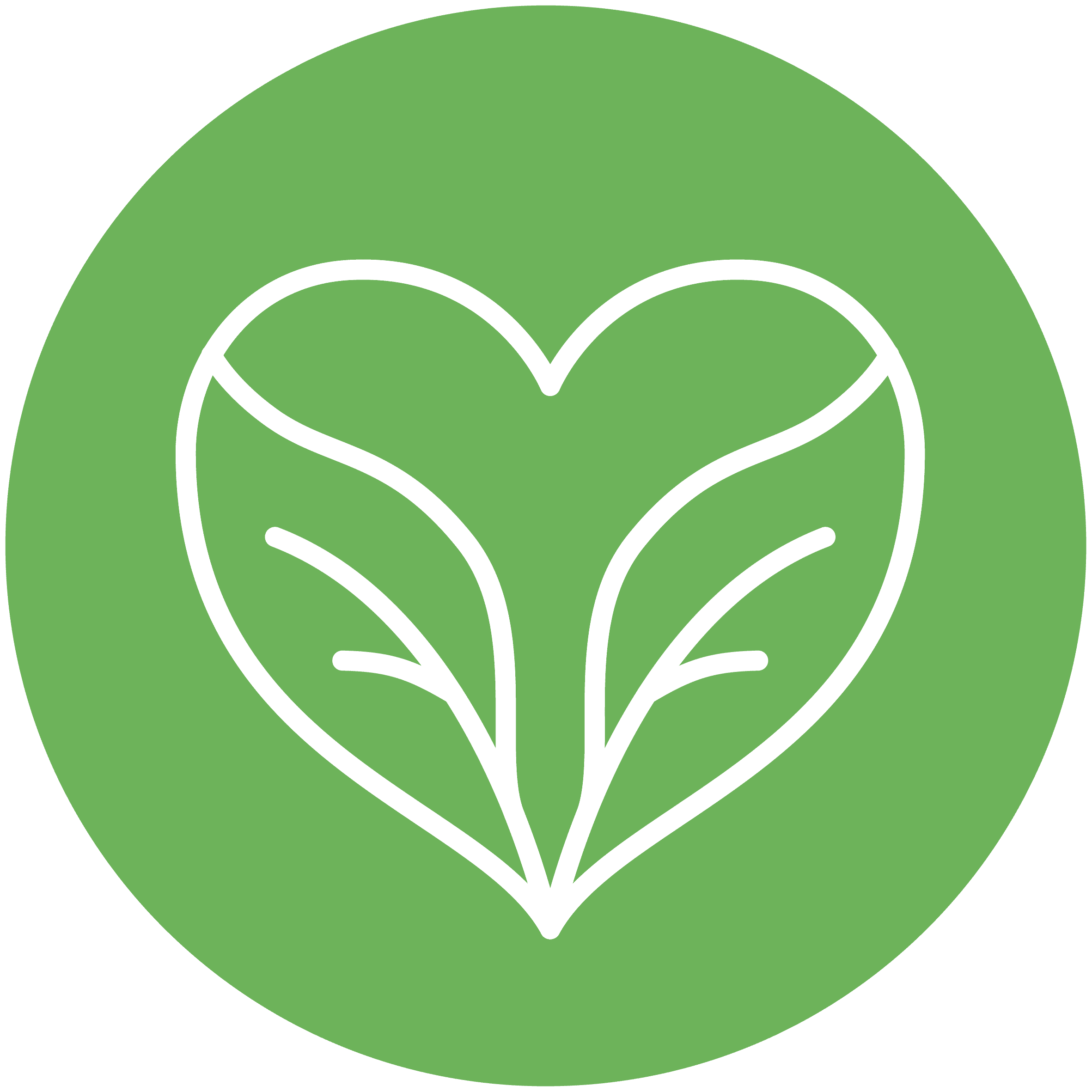 Karbon Ayakizi Raporu  